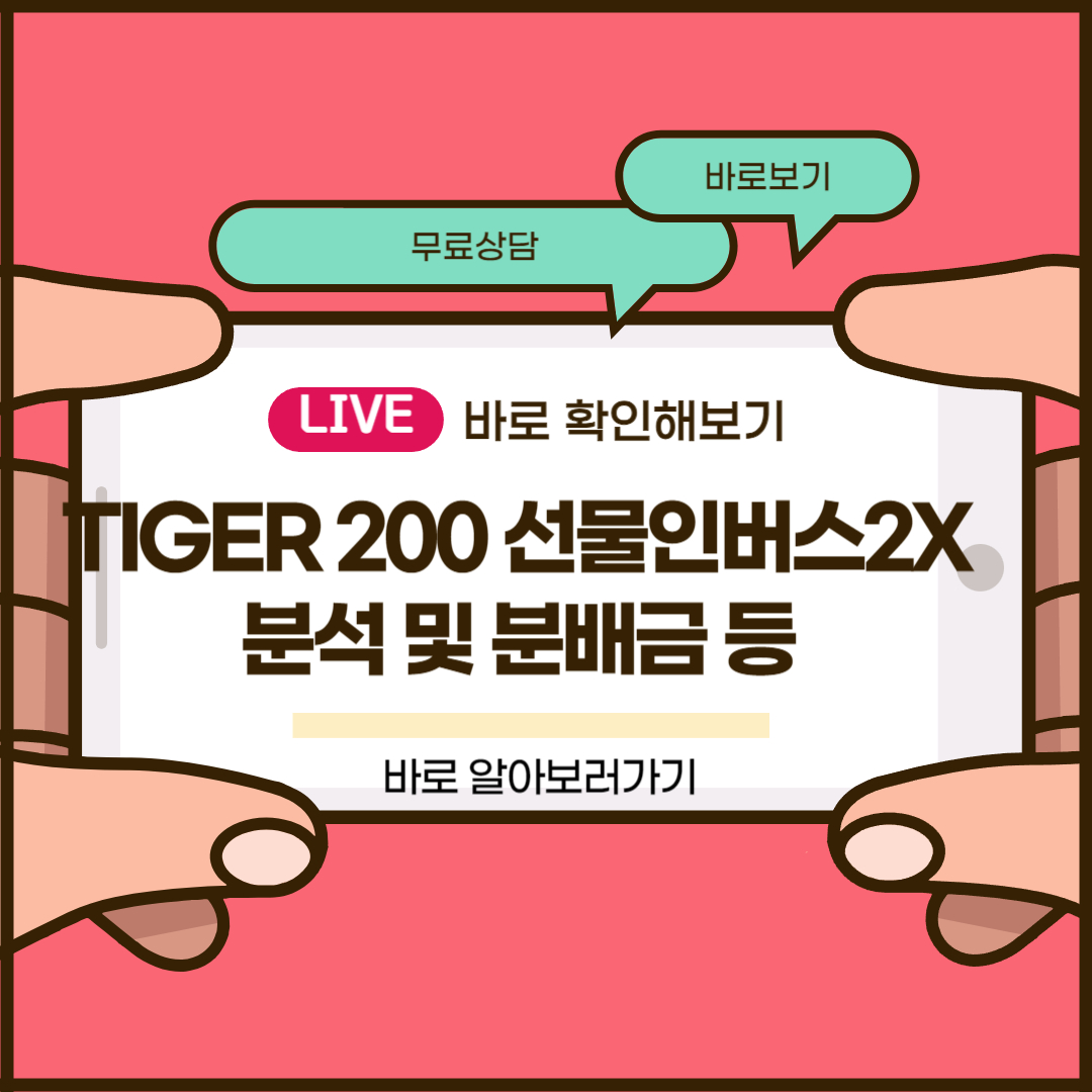 TIGER 200 선물인버스2X