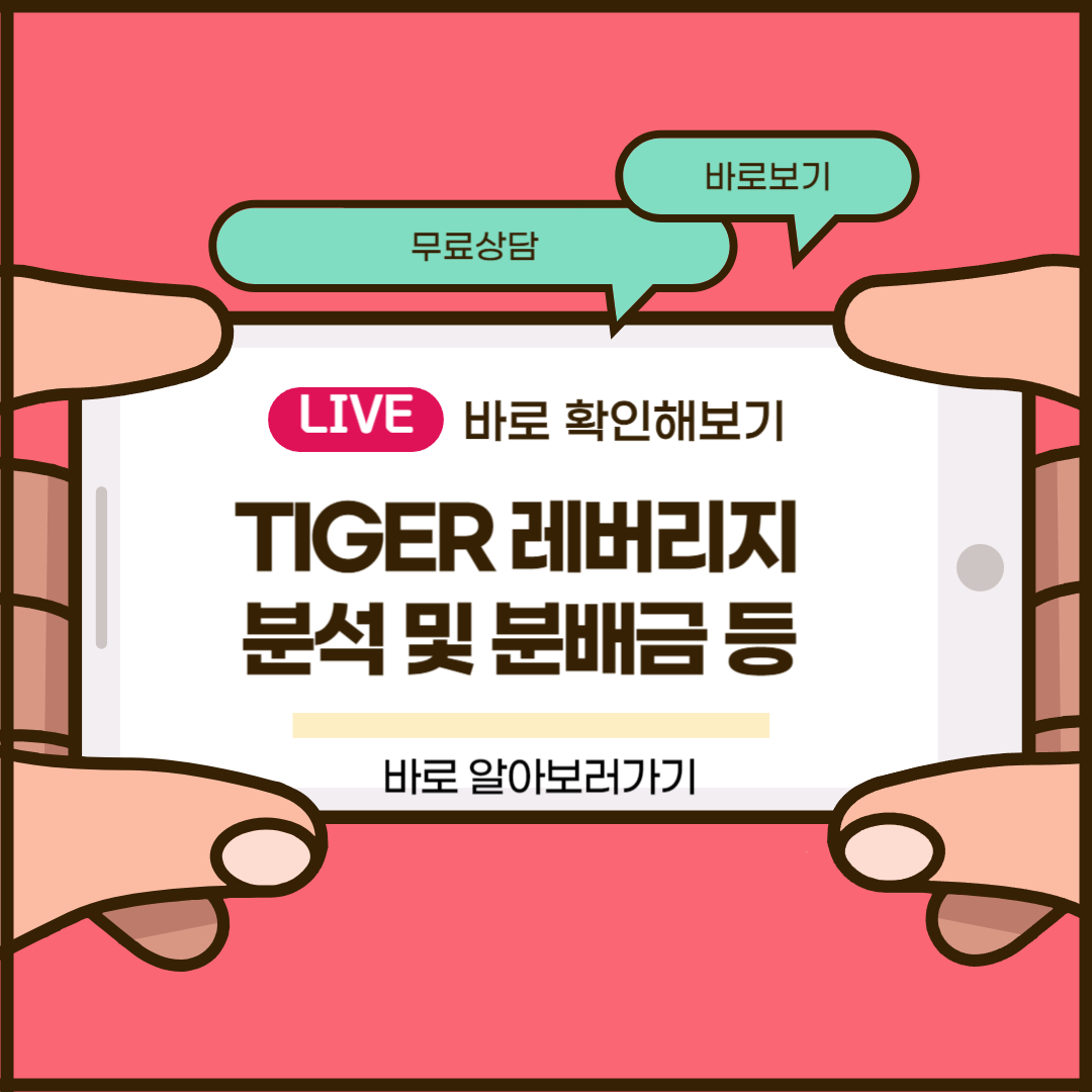 TIGER 레버리지