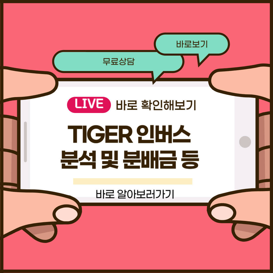 TIGER 인버스