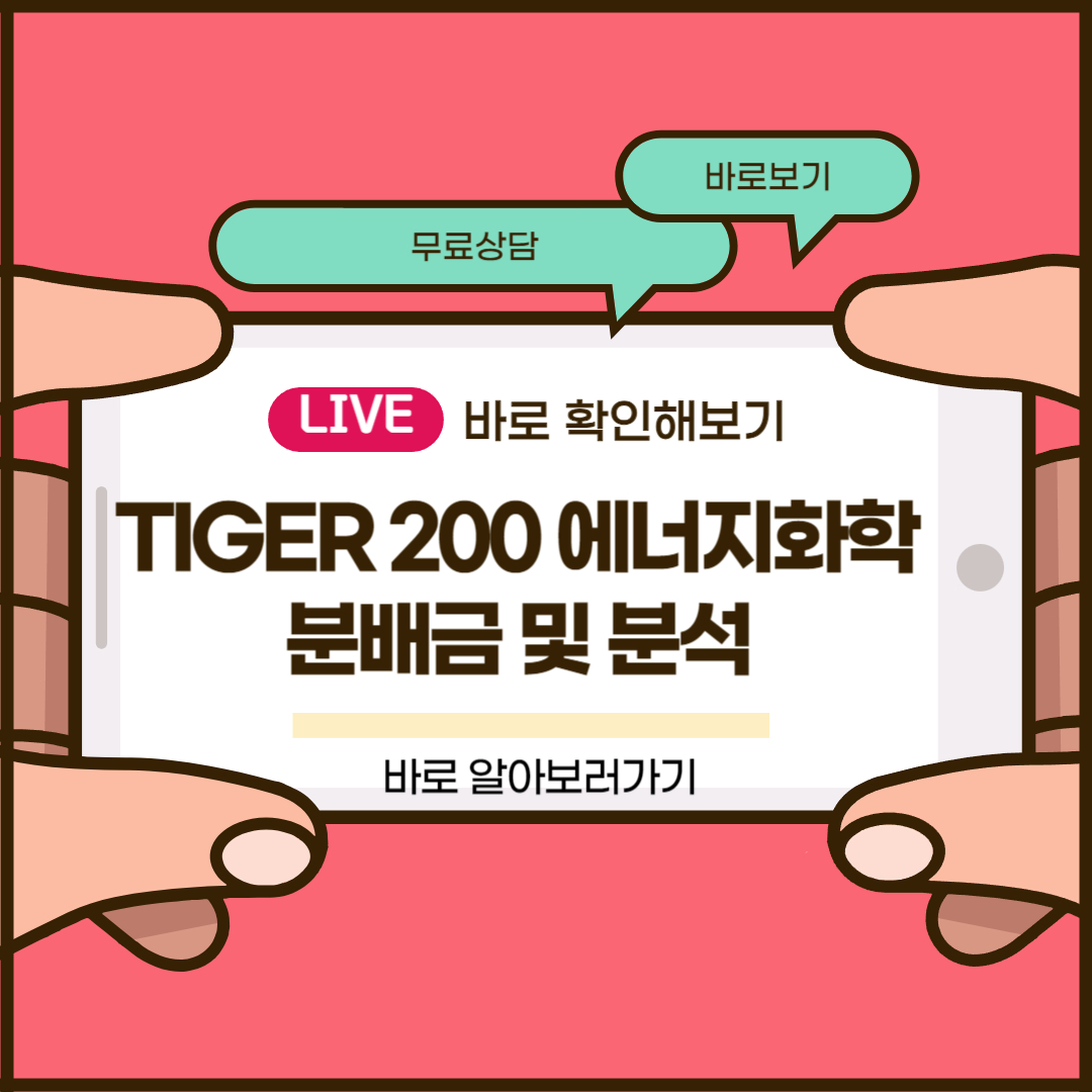 TIGER 200 에너지화학